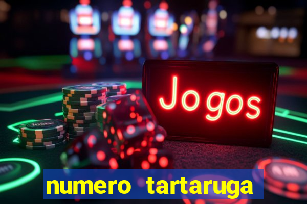 numero tartaruga jogo do bicho